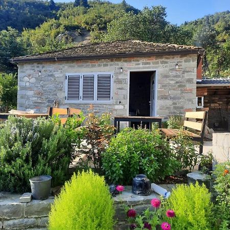 Bujtina Lugina E Vjoses Villa Permet Bagian luar foto