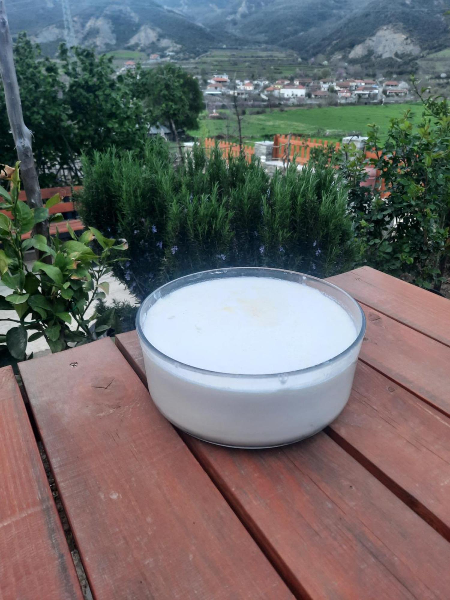 Bujtina Lugina E Vjoses Villa Permet Bagian luar foto