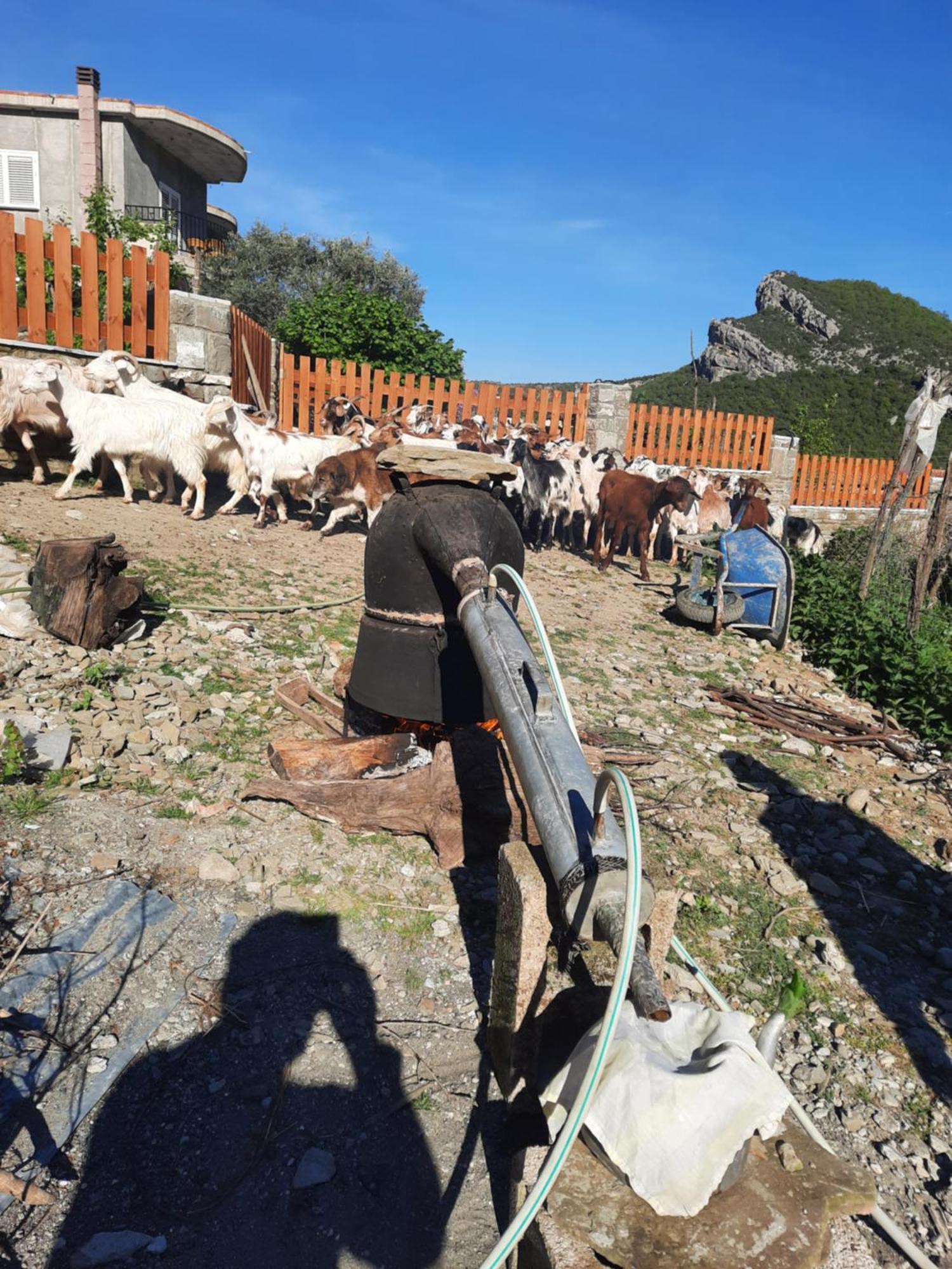 Bujtina Lugina E Vjoses Villa Permet Bagian luar foto