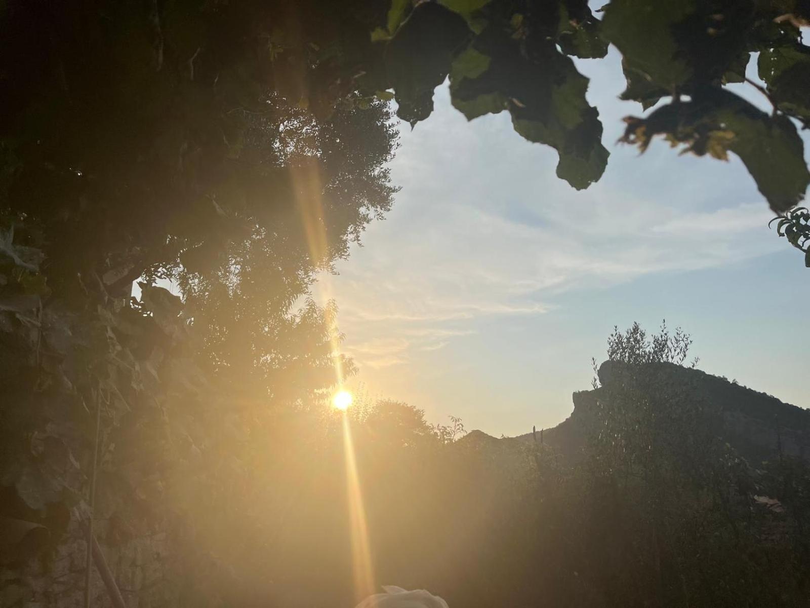 Bujtina Lugina E Vjoses Villa Permet Bagian luar foto