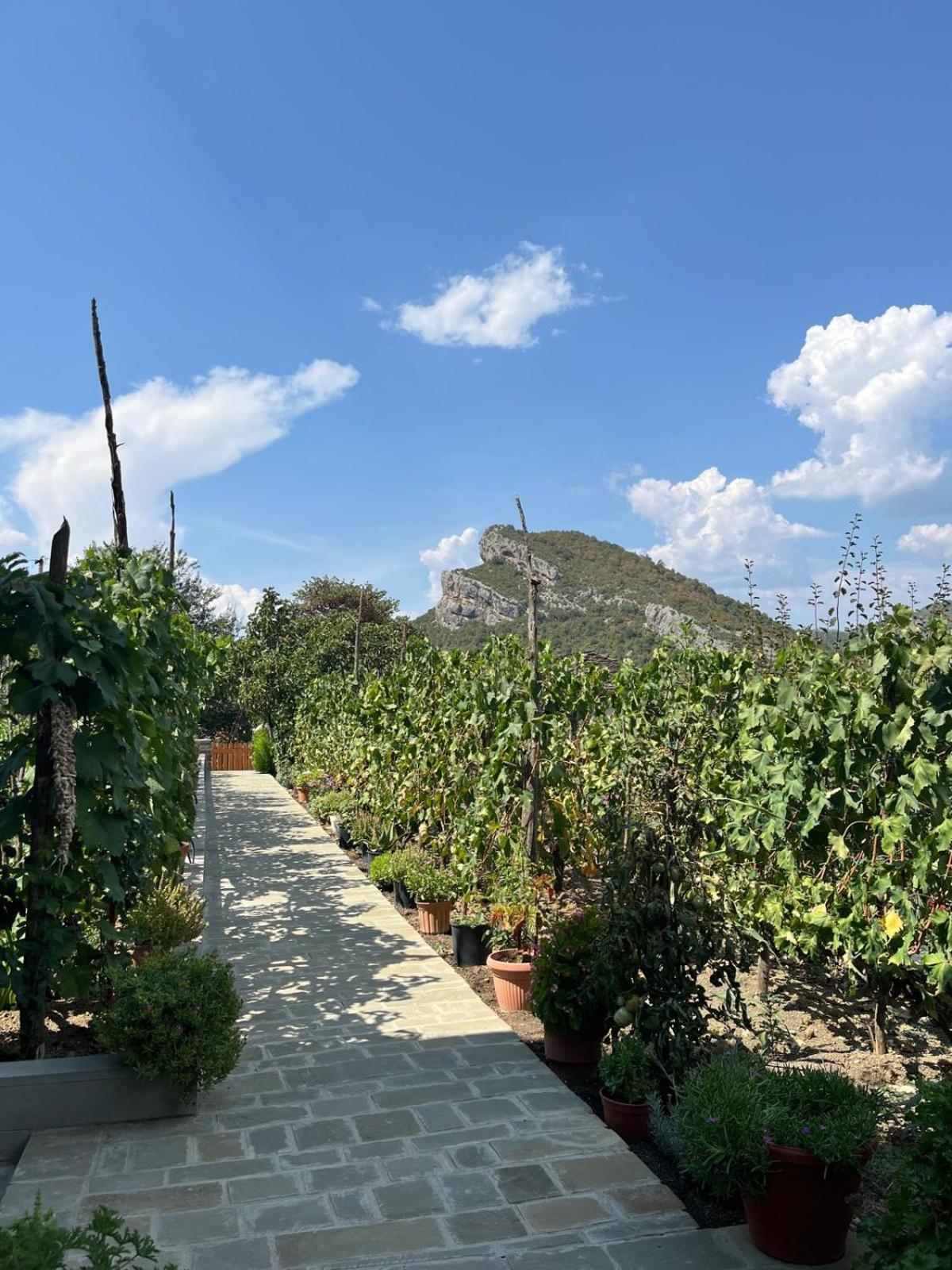 Bujtina Lugina E Vjoses Villa Permet Bagian luar foto